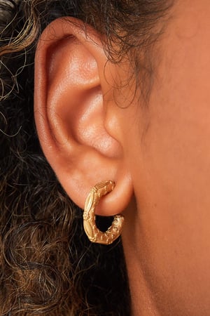 Ohrringe aus Edelstahl h5 Bild2